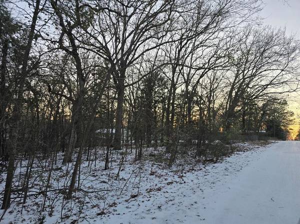 Gun Barrel City, TX 75156,Lot 751 Doe Run Road