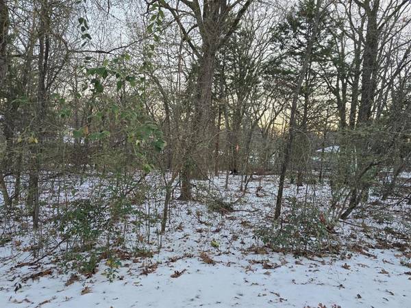 Gun Barrel City, TX 75156,Lot 751 Doe Run Road