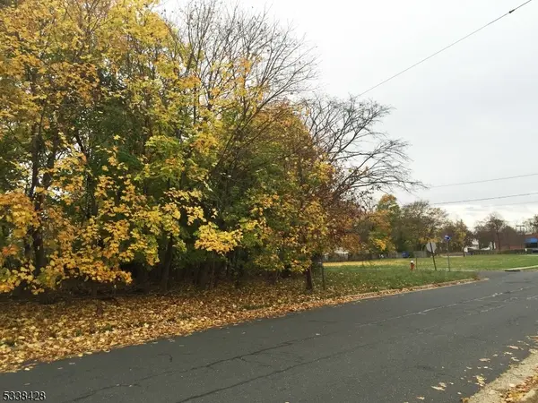 491 Lewis St, Franklin Twp., NJ 08873