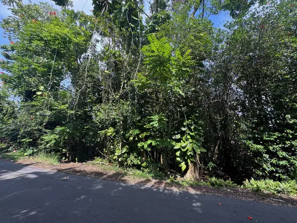 Keaau, HI 96749,28TH AVE