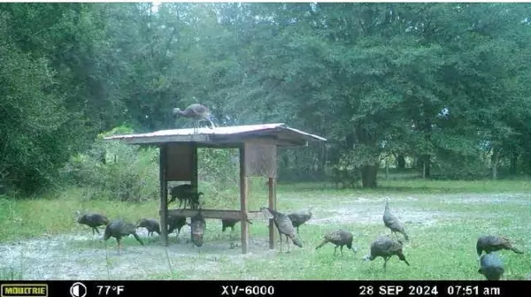 Fort White, FL 32038,890 SW Applewood Glen