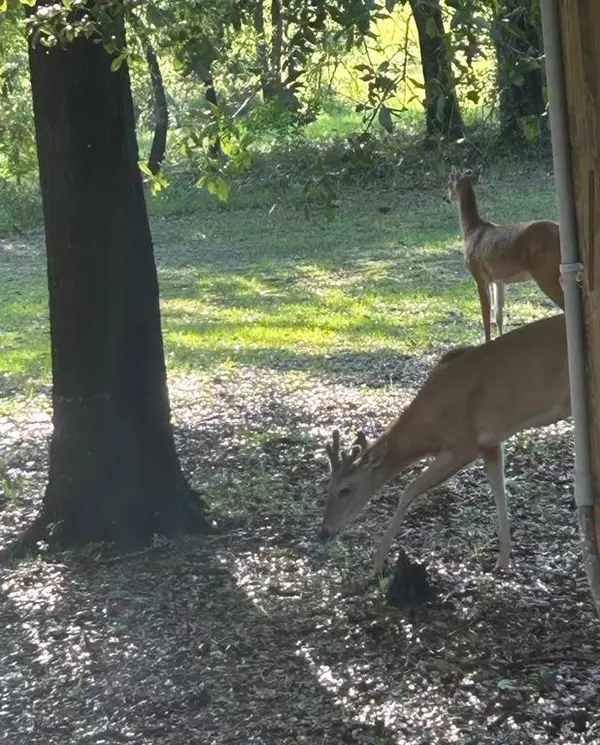 Fort White, FL 32038,890 SW Applewood Glen