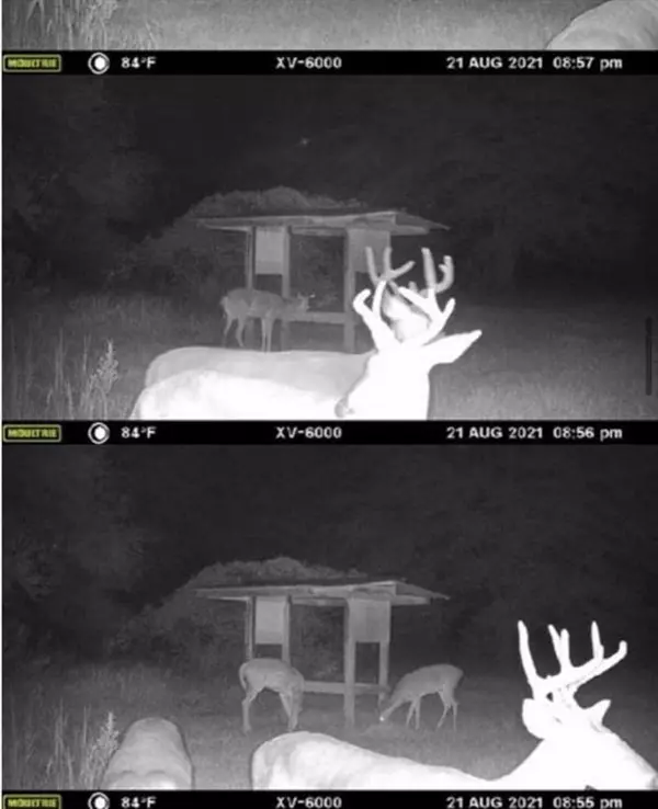 Fort White, FL 32038,890 SW Applewood Glen