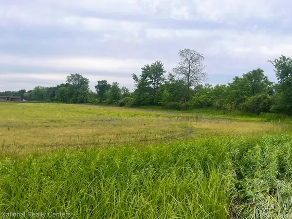 PARCEL C BURT RD, Berlin Township, MI 48002