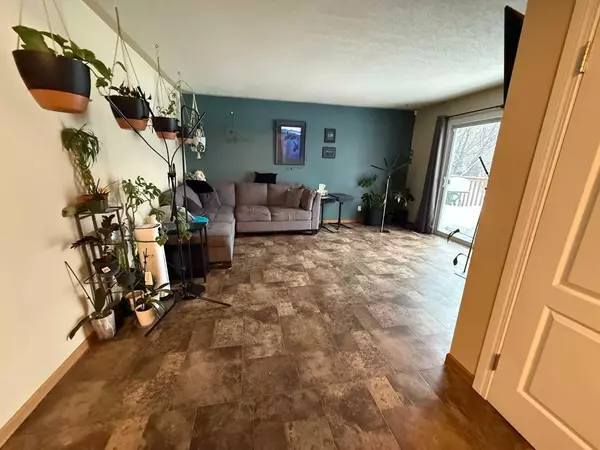 High Level, AB T0H 1Z0,10402 101 ST