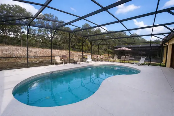 Davenport, FL 33837,446 Orange Cosmos Blvd