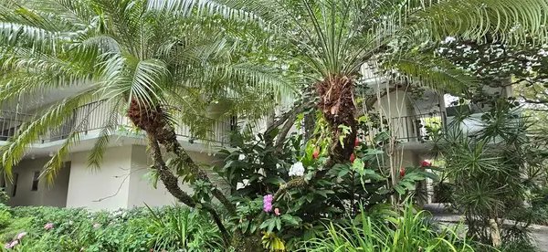 Plantation, FL 33324,8951 N New River Canal Rd #1B