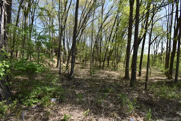 10146 ISLAND LAKE RD, Dexter Twp, MI 48130