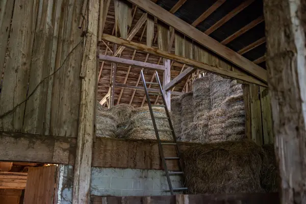 Amaranth, ON L9W 0V2,21 STATION ST