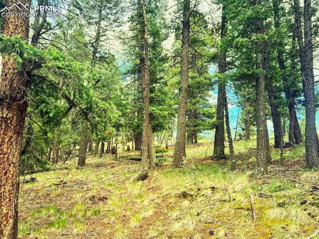 Florissant, CO 80816,179 Kenosha WAY