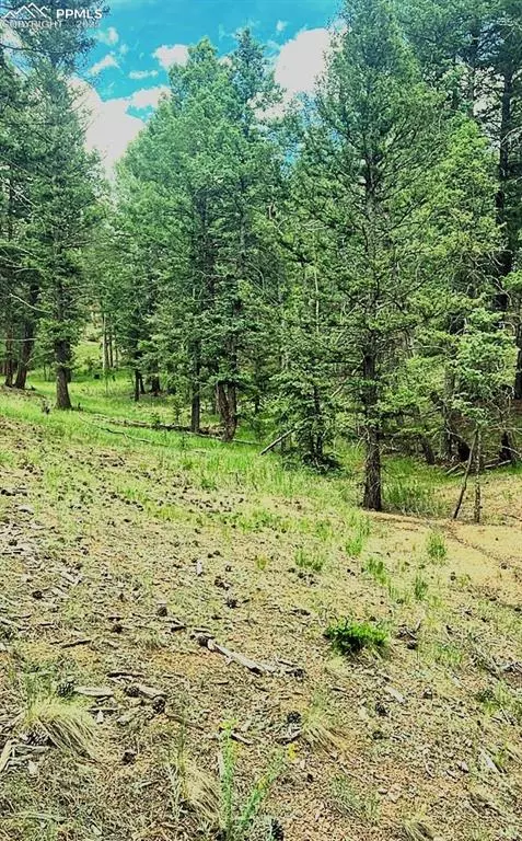 Florissant, CO 80816,179 Kenosha WAY