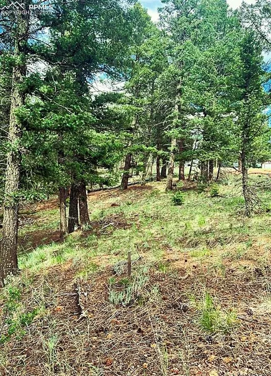 Florissant, CO 80816,179 Kenosha WAY