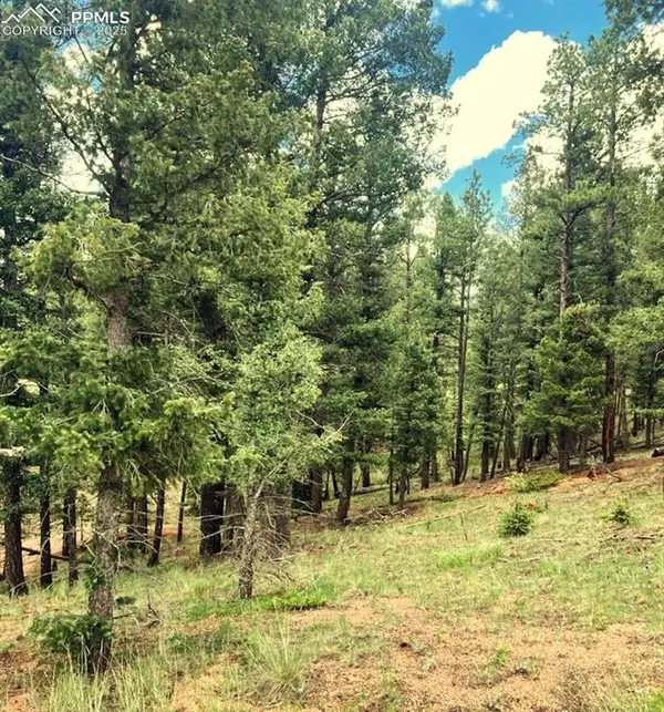 Florissant, CO 80816,179 Kenosha WAY