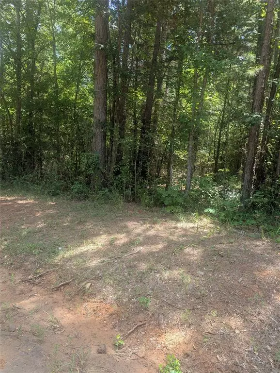 Hawkins, TX 75765,0 Yates Street