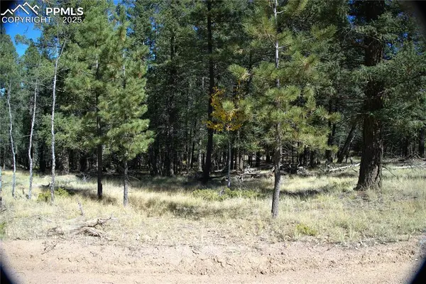 252 Southpark RD, Florissant, CO 80816