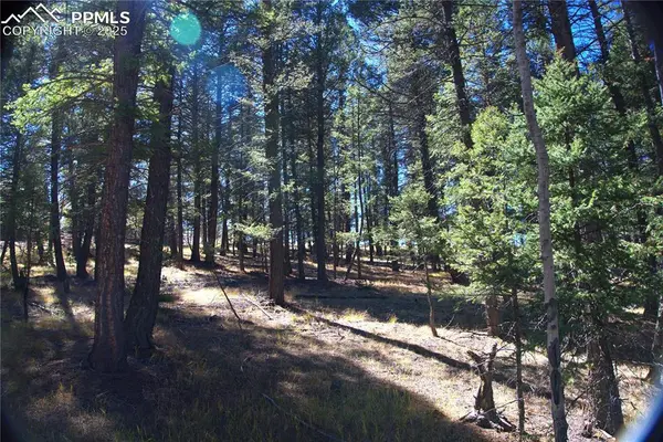 Florissant, CO 80816,252 Southpark RD