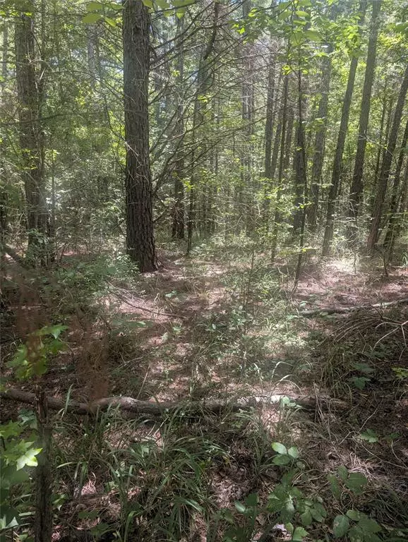 Hawkins, TX 75765,0 Yates Street