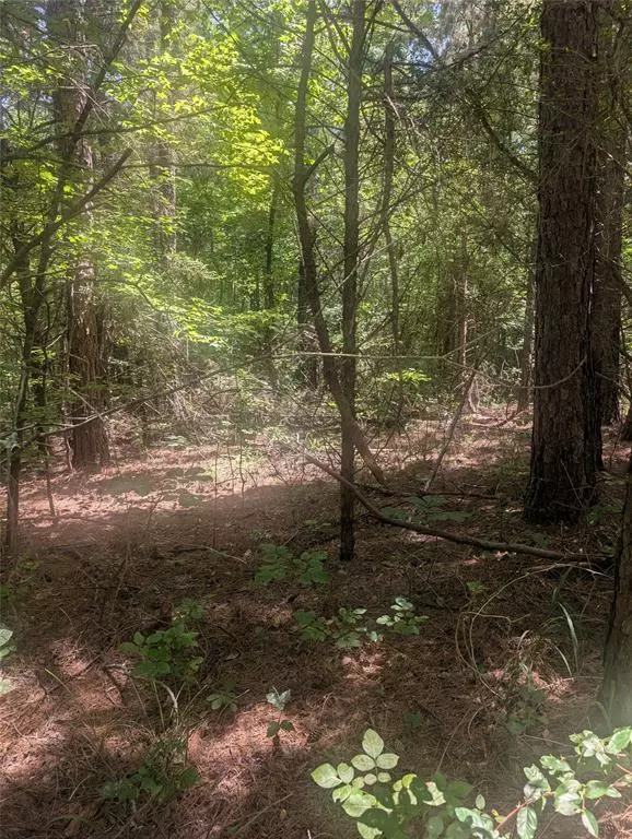 Hawkins, TX 75765,0 Yates Street