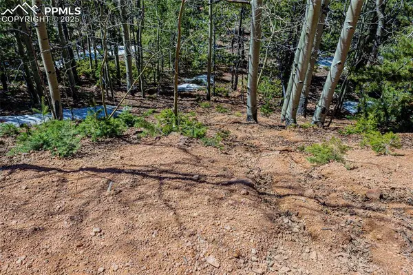 Divide, CO 80814,336 Witherite DR