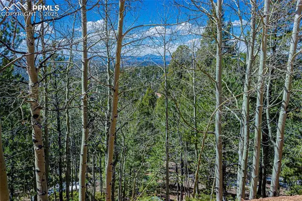 Divide, CO 80814,336 Witherite DR