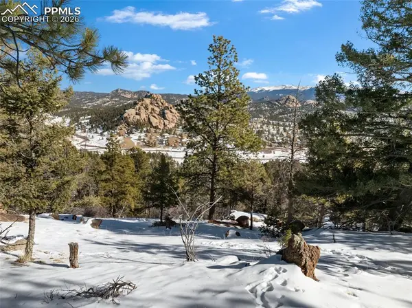 Florissant, CO 80816,Conifer CIR