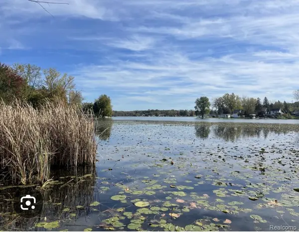 Linden, MI 48430,VL Lakeview Park DR