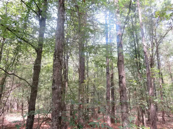 Vivian, LA 71082,00 Clyde Place Vivian Rd