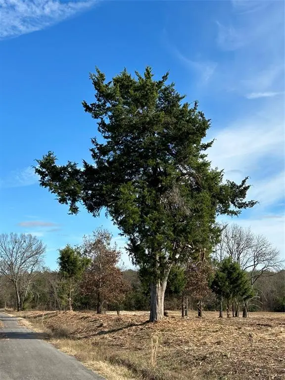 4427 County Road 45080, Arthur City, TX 75411