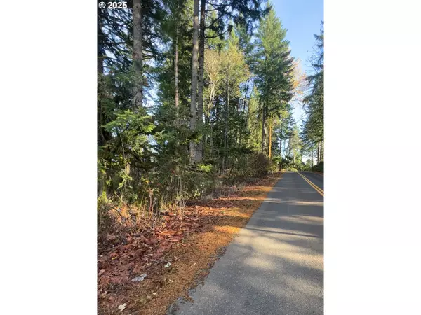 Corbett, OR 97019,E LARCH MOUNTAIN RD