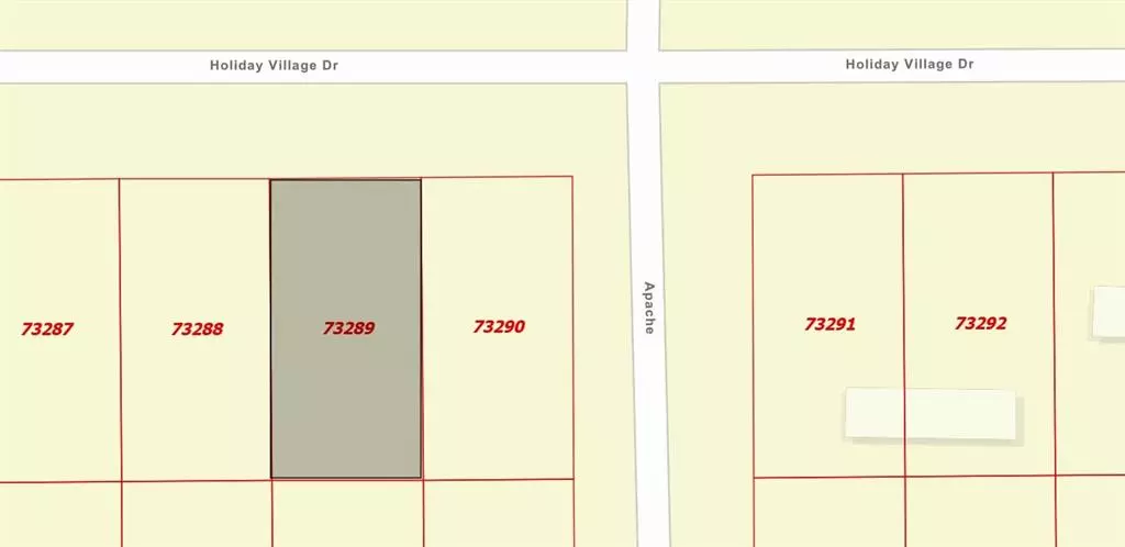 Quitman, TX 75783,295 Holiday Villliage Drive