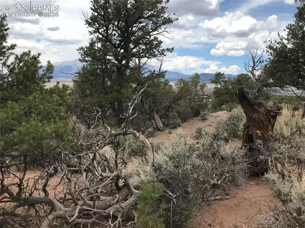 Fort Garland, CO 81133,111 Mitchell RD