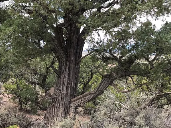 Fort Garland, CO 81133,111 Mitchell RD