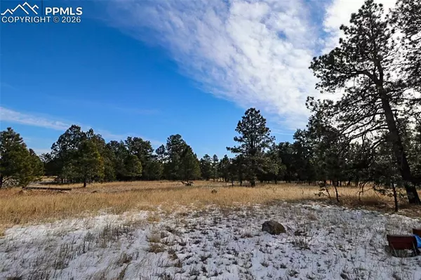 Peyton, CO 80831,20155 Saddle Blanket LN