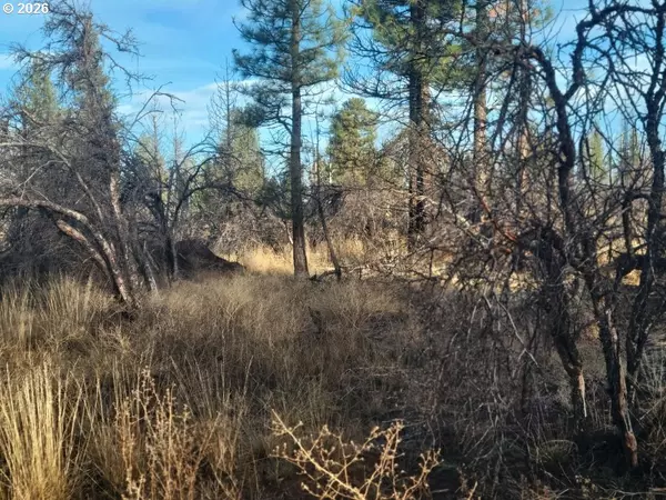 Bonanza, OR 97623,Block 106 #2