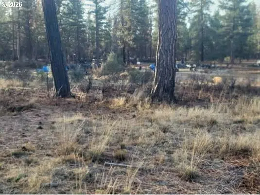 Block 106 #2, Bonanza, OR 97623