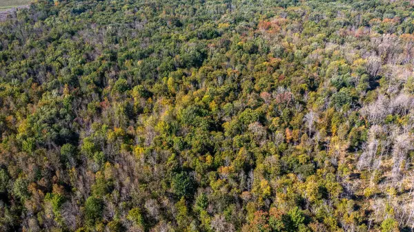 Georgian Bluffs, ON N0H 2N0,1/4 LT3 Sideroad 3 N/A