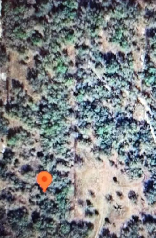 Okeechobee, FL 34972,22343 NW 284th St