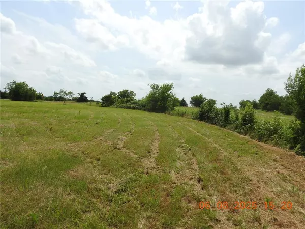 Ladonia, TX 75449,3928 Fm 1563