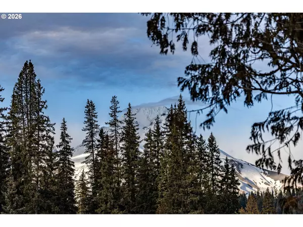 Government Camp, OR 97028,93732 E HIGHWAY 26