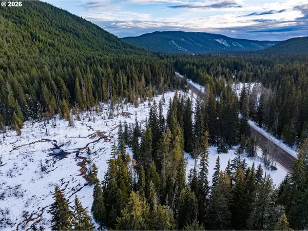 Government Camp, OR 97028,93732 E HIGHWAY 26