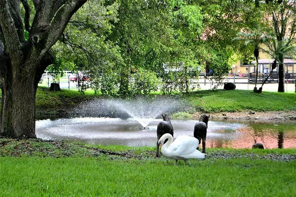 Southwest Ranches, FL 33331,6200 SW 183rd Way