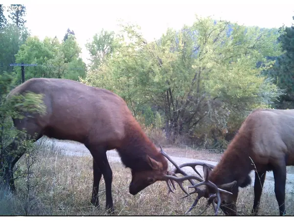 911 TUNNEL RD, Glendale, OR 97442