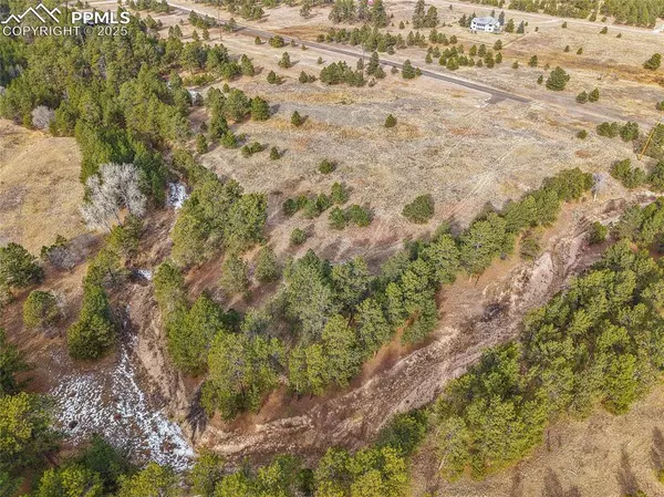 Elbert, CO 80106,12095 Grandin PT