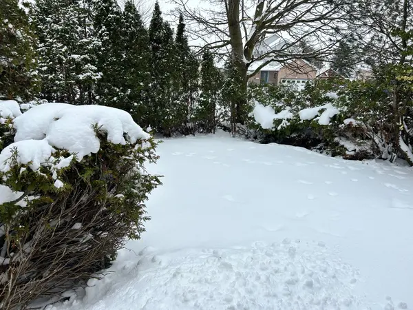 Centre Wellington, ON N1M 2P2,487 Flannery DR