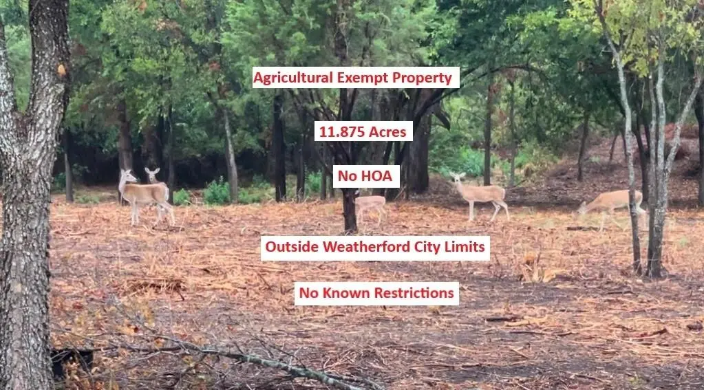 0000 Pioneer Crossing, Weatherford, TX 76088