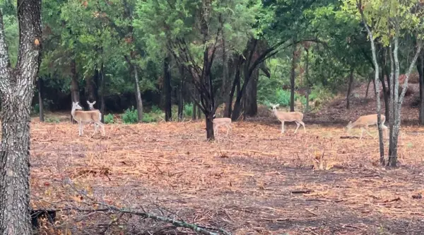 0000 Pioneer Crossing, Weatherford, TX 76088