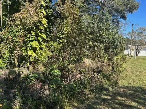 0 Maple Hill Ct, Lakeland, FL 33811