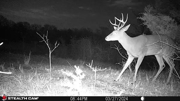 3285 Roland Road, Whitesboro, TX 76273