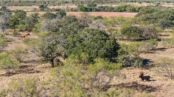 TBD Berry Dairy Road,  Bryson,  TX 76427