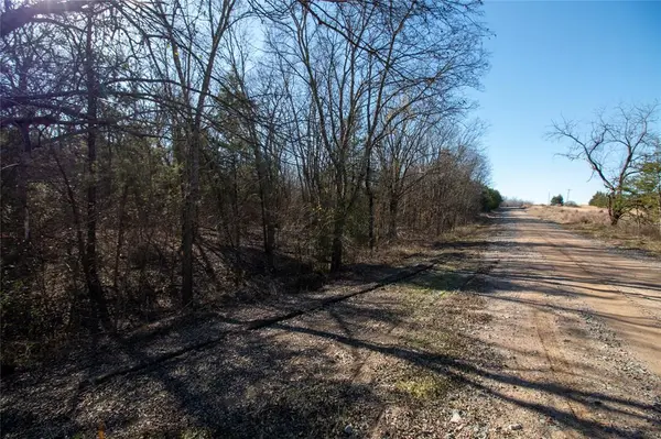 Dodd City, TX 75438,Lot 3 County Road 2905
